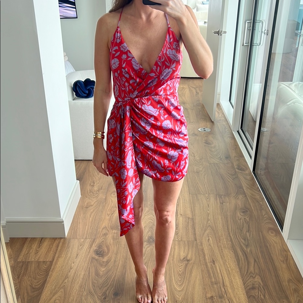 Lovers + Friends Red Floral Mini Dress